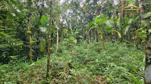 Lote/Terreno à venda, 6500m² no Colônia Sesmaria, Morretes