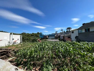 Lote/Terreno à venda, 727m² no São Pelegrino, Caxias do Sul