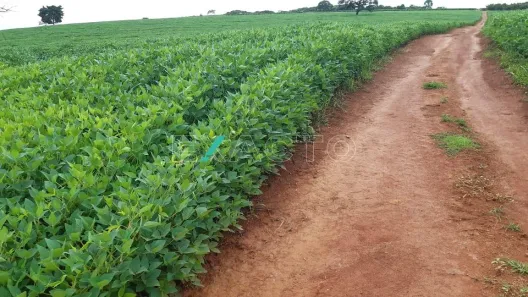 Fazenda/Sítio com 3 Quartos à venda, 5000m² no Mirante do Paraíso, Pouso Alegre