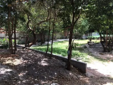Lote/Terreno à venda, 2924m² no Pipa, Tibau do Sul