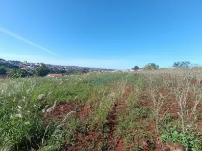 Fazenda/Sítio à venda, 1750m² no , Assaí
