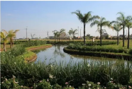 Lote/Terreno à venda, 298m² no Loteamento Village Damha Mirassol IV, Mirassol