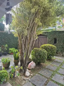 Casa de Condomínio com 5 Quartos à venda, 316m² no Freguesia (Jacarepaguá), Rio de Janeiro