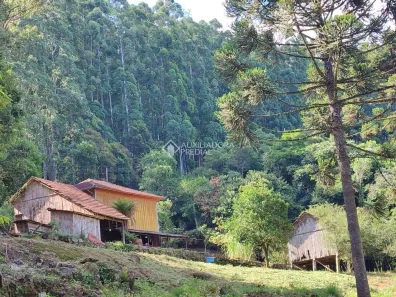 Fazenda/Sítio à venda, 226700m² no Galópolis, Caxias do Sul