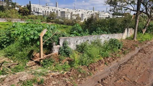 Lote/Terreno à venda, 1595m² no Recreio Sertãozinho, Suzano