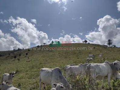 Fazenda/Sítio à venda, 840m² no , Itamaraju