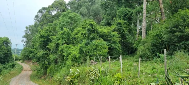 Lote/Terreno à venda, 40200m² no São Giácomo, Caxias do Sul