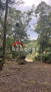 Lote/Terreno à venda, 750m² no Centro, São Francisco de Paula