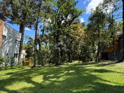 Lote/Terreno à venda, 544m² no Centro, Canela