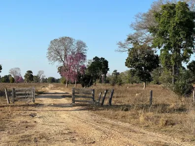Fazenda/Sítio à venda, 300m² no Centro, Nova Xavantina