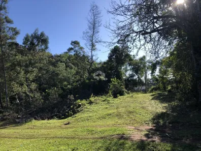 Fazenda/Sítio à venda, 11000m² no , Nova Petrópolis