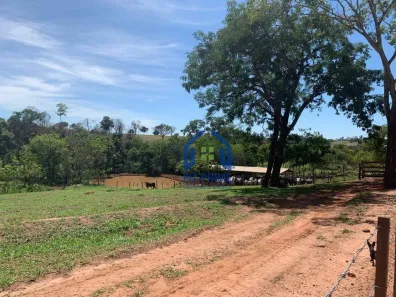 Fazenda/Sítio à venda, 170000m² no , Nipoã