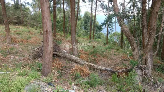 Lote/Terreno à venda, 257m² no Vila Dante, Canela