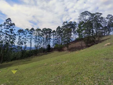 Fazenda/Sítio com 4 Quartos à venda, 796000m² no Salesópolis, Salesópolis