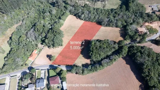 Lote/Terreno à venda, 5000m² no Vila Delurdes, Campo Largo