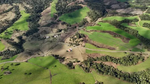 Fazenda/Sítio à venda, 440000m² no , Bom Retiro