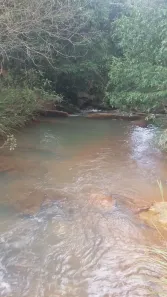 Fazenda/Sítio à venda, 50000m² no Ponte Alta Norte, Brasília