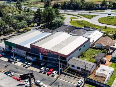 Galpão/Depósito/Armazém à venda, 728m² no Colônia Dona Luíza, Ponta Grossa