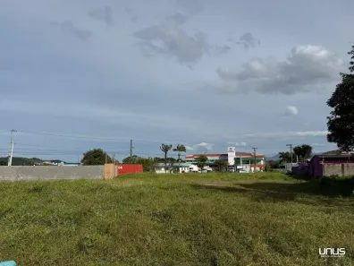 Lote/Terreno à venda, 589m² no Forquilhas, São José