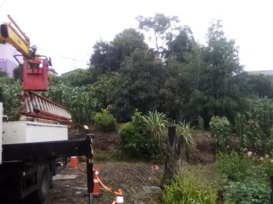 Lote/Terreno à venda, 3256m² no Desvio Rizzo, Caxias do Sul