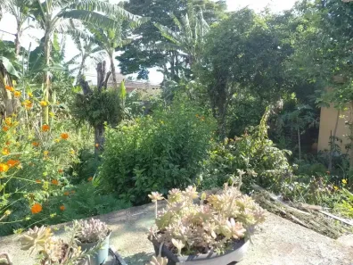 Lote/Terreno à venda, 900m² no Interlagos, São Paulo