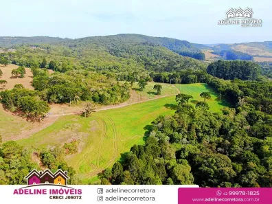 Fazenda/Sítio à venda, 23495m² no Castro, Castro