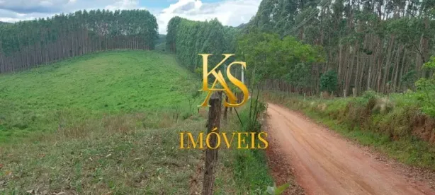 Fazenda/Sítio com 1 Quarto à venda, 7600000m² no Centro, Paraibuna