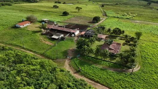 Fazenda/Sítio com 5 Quartos à venda, 830000m² no , Monte Alegre