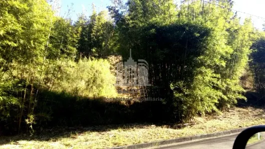 Lote/Terreno à venda, 1540m² no Morada das Nascentes (Joaquim Egídio), Campinas