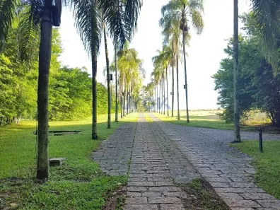 Lote/Terreno à venda, 20032m² no Jardim Martinelli (Sousas), Campinas