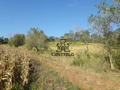 Fazenda/Sítio com 2 Quartos à venda, 72000m² no Paiquerê, Londrina