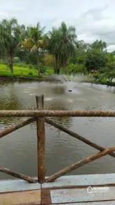 Fazenda/Sítio com 3 Quartos à venda, 300m² no Gleba Ribeirão Morangueiro, Maringá