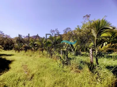 Fazenda/Sítio à venda, 12000m² no Colônia Cabaraquara, Guaratuba