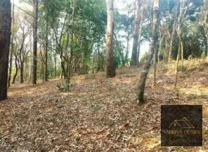 Lote/Terreno à venda, 11024m² no Cacupé, Florianópolis