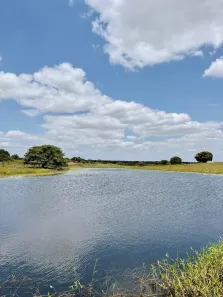 Fazenda/Sítio com 4 Quartos à venda, 1790000m² no , Monte Alegre