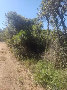 Lote/Terreno à venda, 4000m² no Condomínio Rural Canto da Serra, Santa Luzia