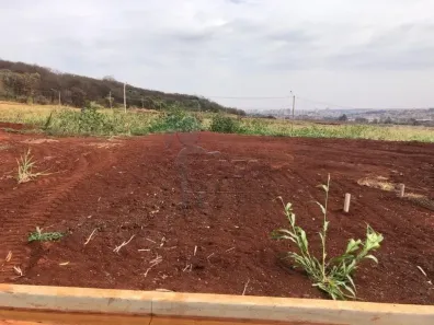 Lote/Terreno à venda, 265m² no Fazenda Santa Rita do Picadão, Ribeirão Preto
