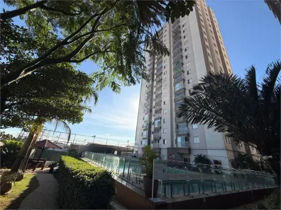 Apartamento com 3 Quartos para alugar, 62m² no Vila Paiva, São Paulo