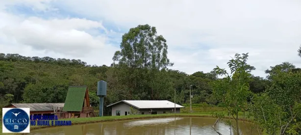 Fazenda/Sítio com 4 Quartos à venda, 7m² no Setor Central, São Miguel do Passa Quatro