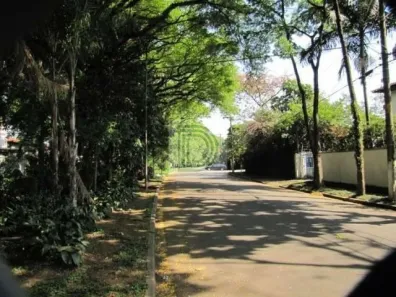 Sobrado com 5 Quartos para alugar, 600m² no Butantã, São Paulo