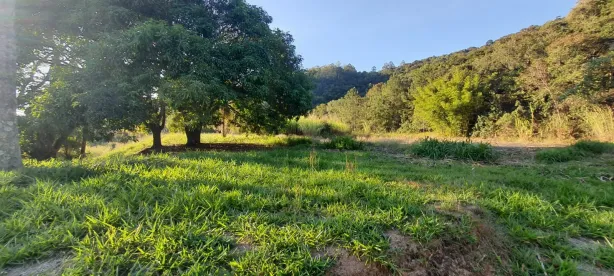 Lote/Terreno à venda, 3929m² no Estância Santa Maria do Laranjal, Atibaia