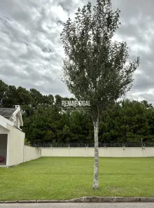 Lote/Terreno à venda, 353m² no Laranjal, Pelotas