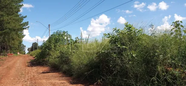 Fazenda/Sítio à venda, 4300m² no Chácara Flora Araraquara, Araraquara