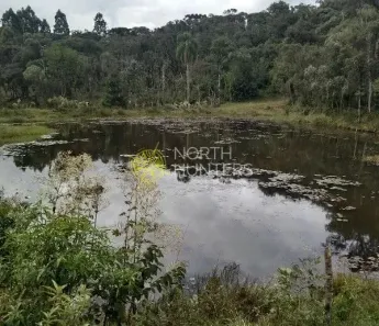 Fazenda/Sítio com 3 Quartos à venda, 100m² no Campo Alegre, Campo Alegre