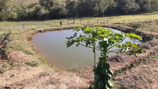 Fazenda/Sítio com 4 Quartos à venda, 48000m² no , Santo Antônio da Alegria
