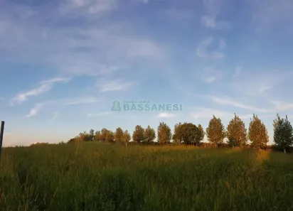 Lote/Terreno à venda, 20000m² no Centro, Garibaldi
