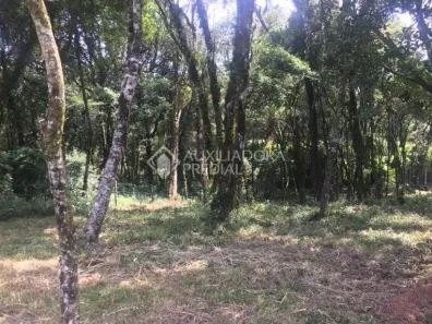 Lote/Terreno à venda, 1020m² no Vila Mina, Canela