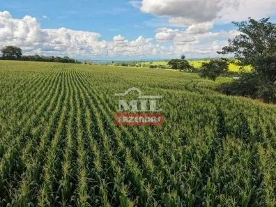 Fazenda/Sítio à venda, 500m² no , Itaberaí