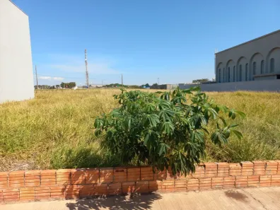 Lote/Terreno à venda, 3840m² no Jardim Pinheiro, São Manuel