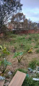 Lote/Terreno à venda, 175m² no Jardim Quaresmeira, Suzano